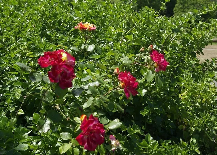 Hotel Aldea Del Trasgu Cuerres