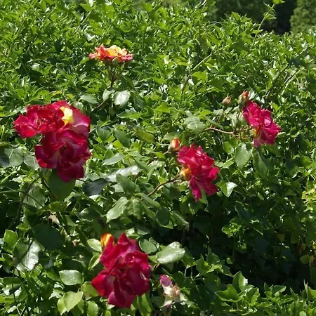 Hotel Aldea Del Trasgu Cuerres